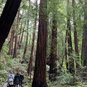 Meet your Posher, Kathie